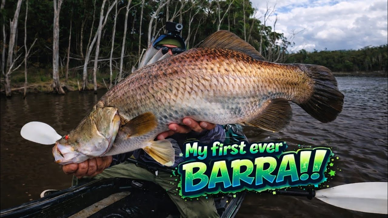 My FIRST ever barramundi, Lake Lenthall (NO net + kayak = TOTAL CHAOS!)