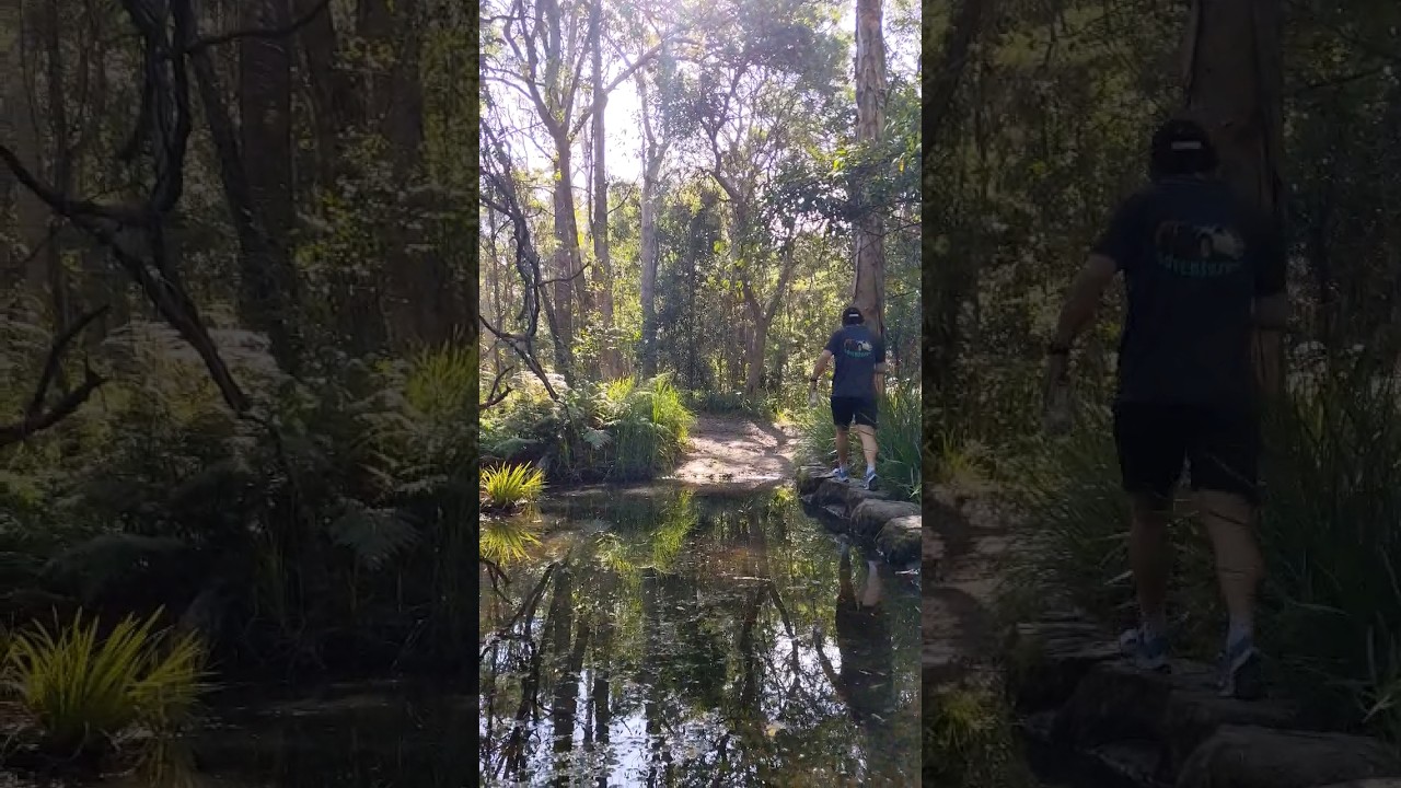 CHECK OUT THIS SECRET HIKE NEAR BRISBANE!!!
