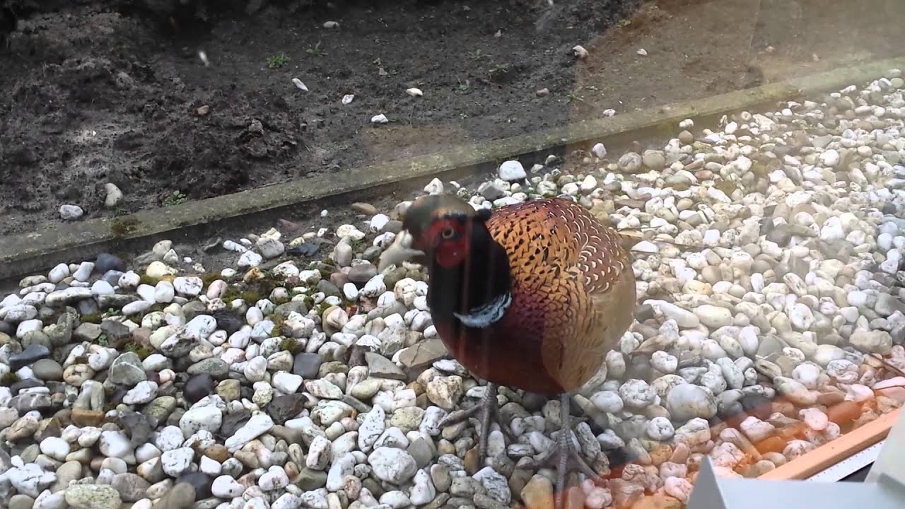 Metal Design Works Visualisatie Perforatie