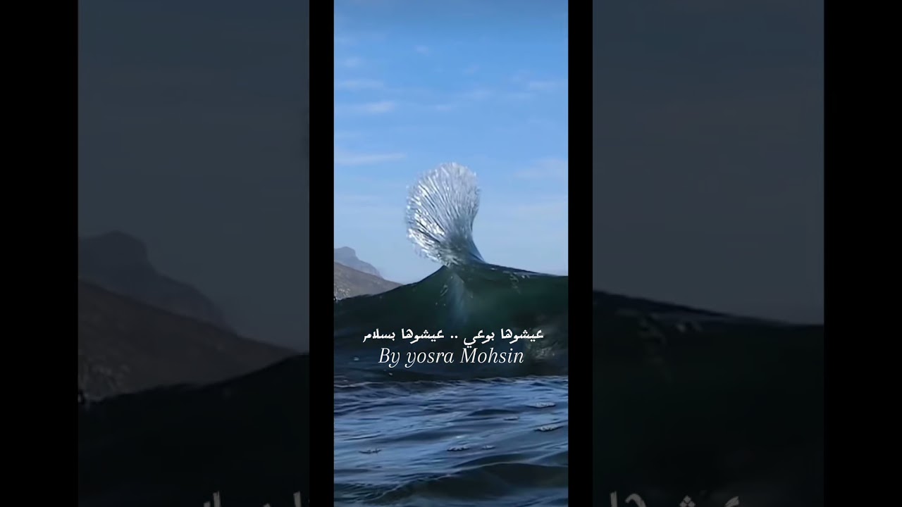 كبسولة اليوم الثاني