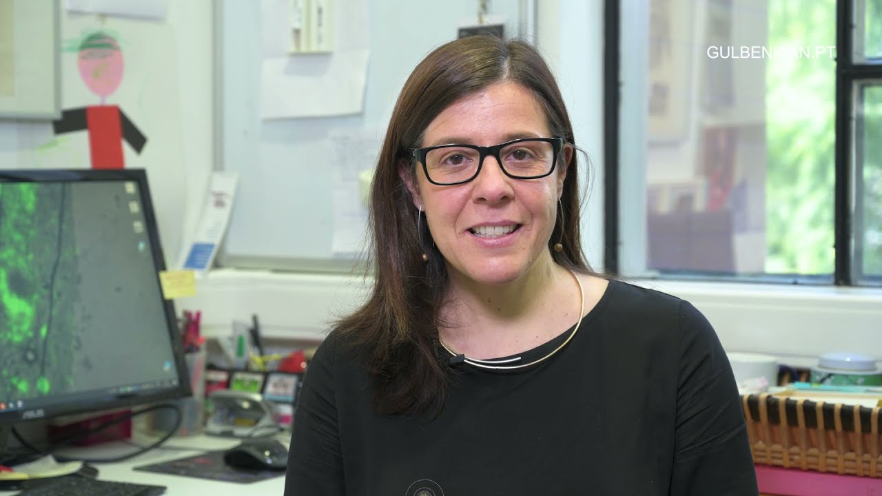 Ep.2 | Meet IGC Scientists: Maria João Amorim