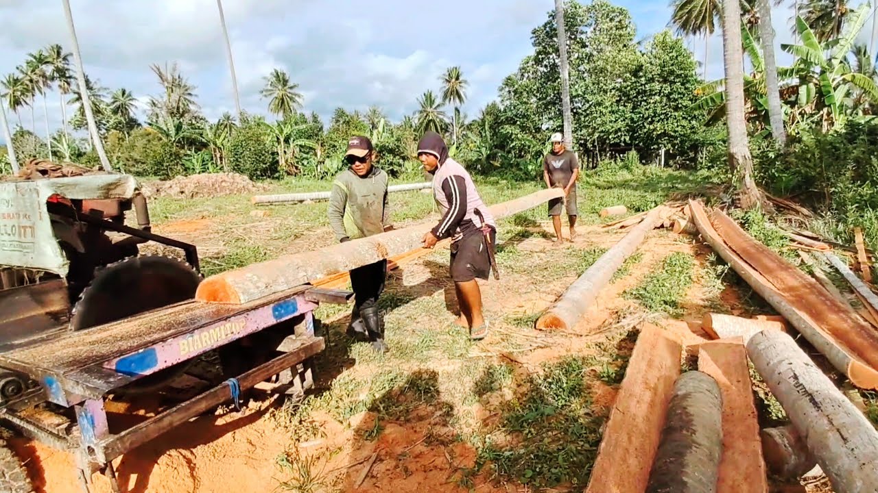 PEMBUATAN BALOK /// KEGIATAN SAWMIL DENGAN PANAS MENTARI YANG MENYENGAT