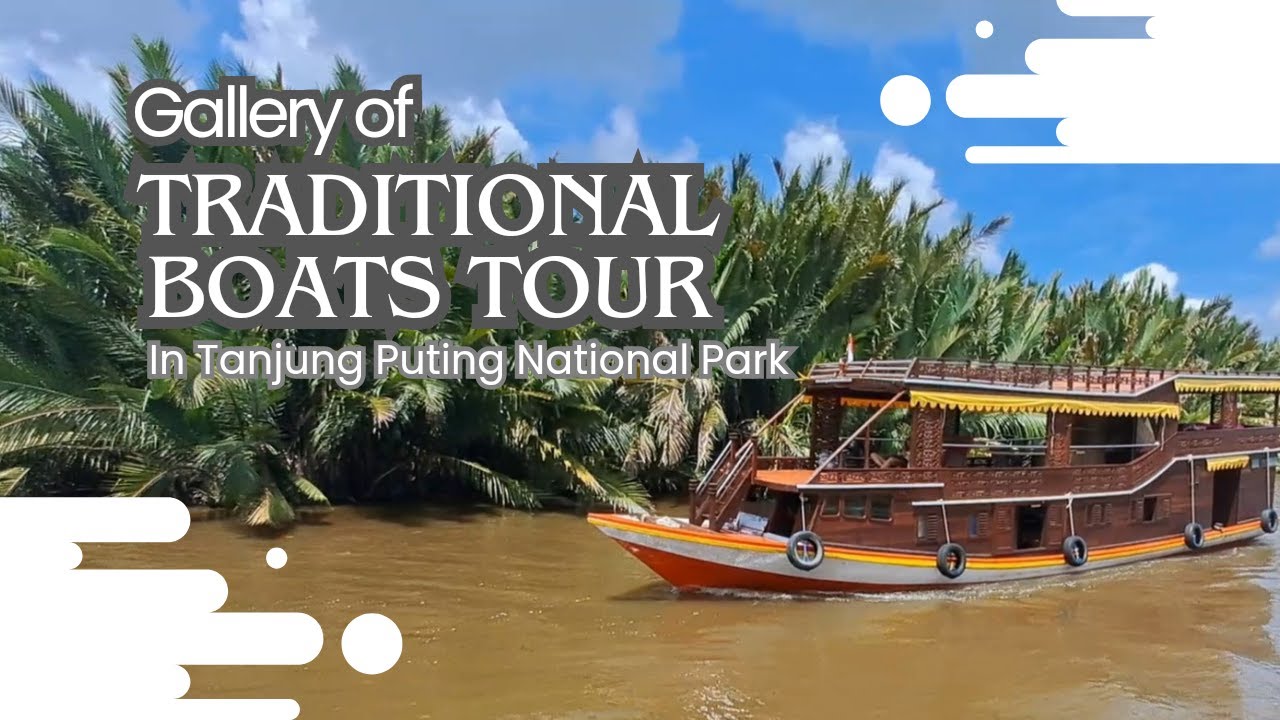 Gallery of Traditional Boats Tour (Klotok) in Tanjung Puting National Park