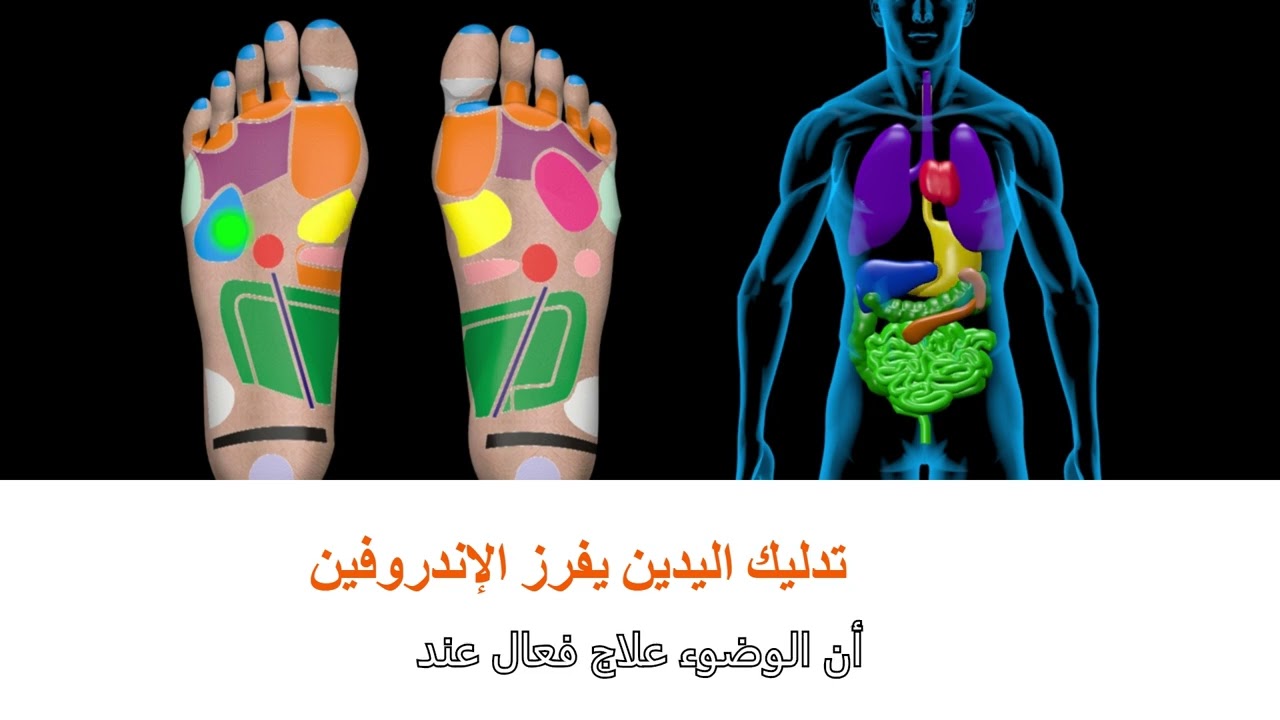الإعجاز في العلاقة بين تدليك النقاط الانعكاسية والوضوء في الإسلام