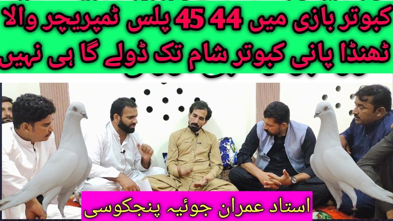 Ik Shank Kabootar Bazi Interview Legend Ustad Imran Joya Part 3 thanda pani || Chand Pegion vlog