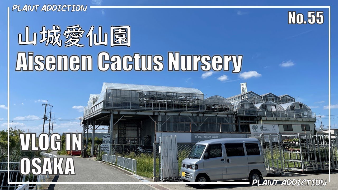 大阪の最大級多肉植物専門店「山城愛仙園」No.55