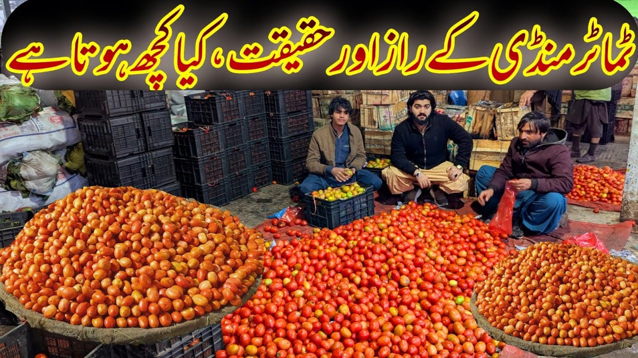 Business Reality in Mandi | Sindh, Momand & Balochistan Tomatoes | Complete Trade System Explained |