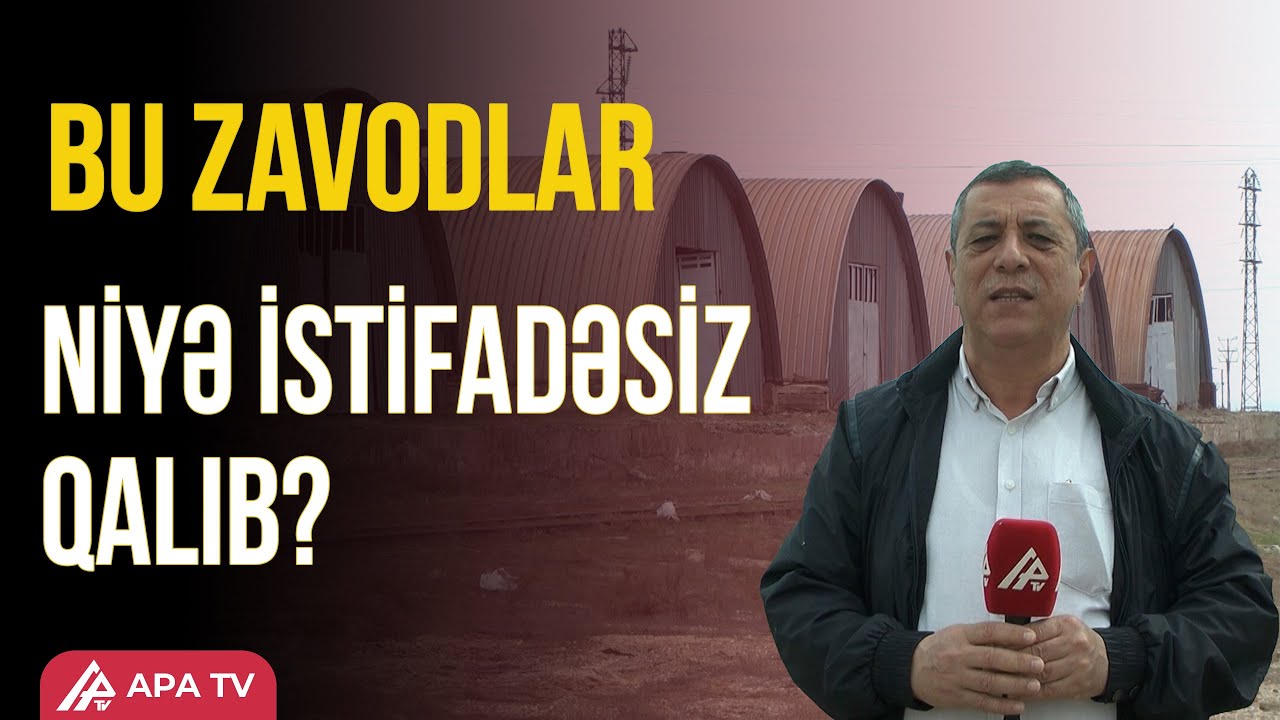 Şirvanda istifadəsiz qalan zavodları hissə-hissə söküb oğurlayırlar - APA TV