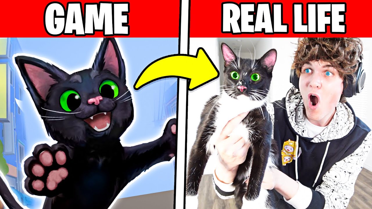 LANKYBOX ПОЛУЧИЛИ КОШКУ В РЕАЛЬНОЙ ЖИЗНИ!? (Полный геймплей Little Kitty Big City!)