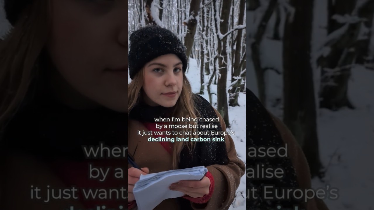 When the forest sends a moose as its messenger because things are getting serious.