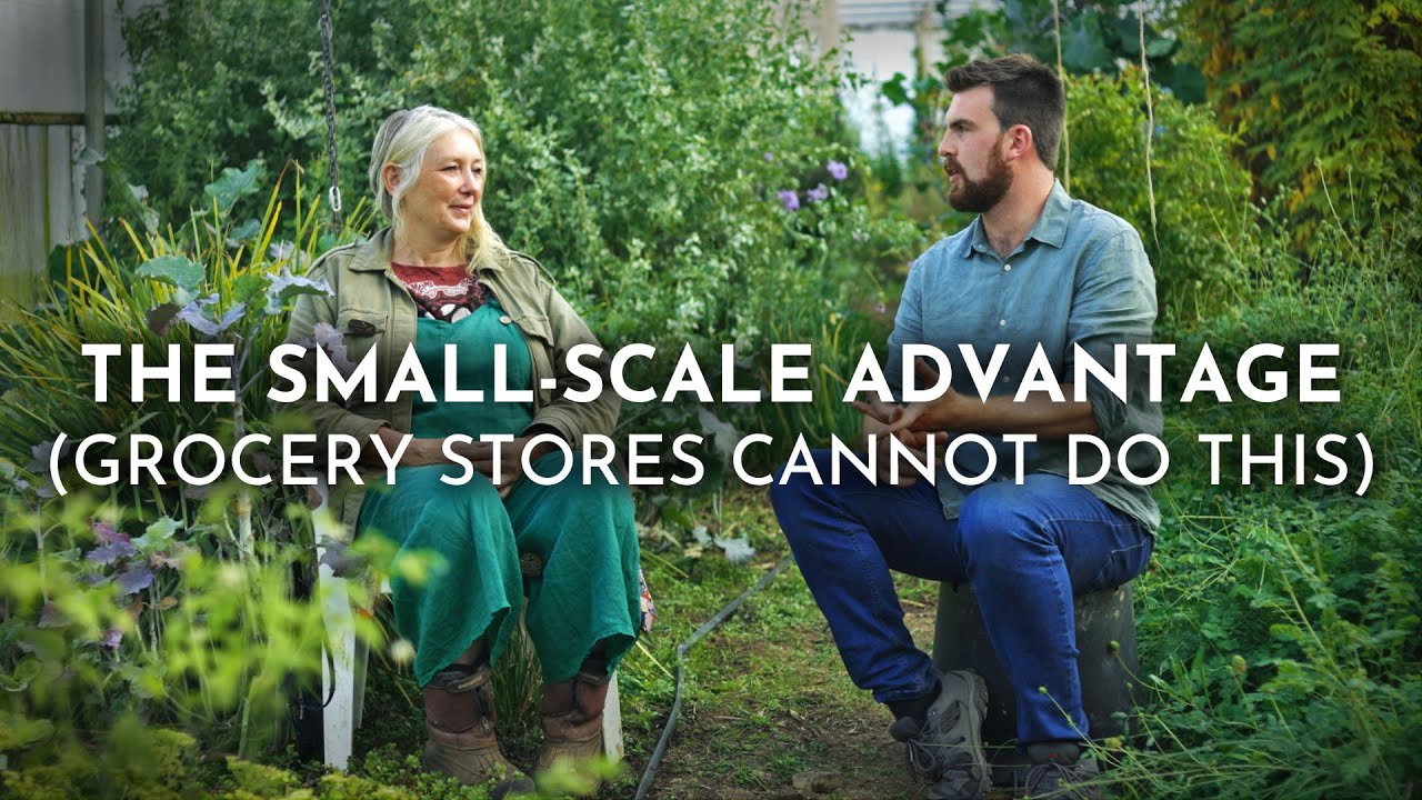 Perennial Vegetables Offer KEY Opportunities For Small-Scale Farms
