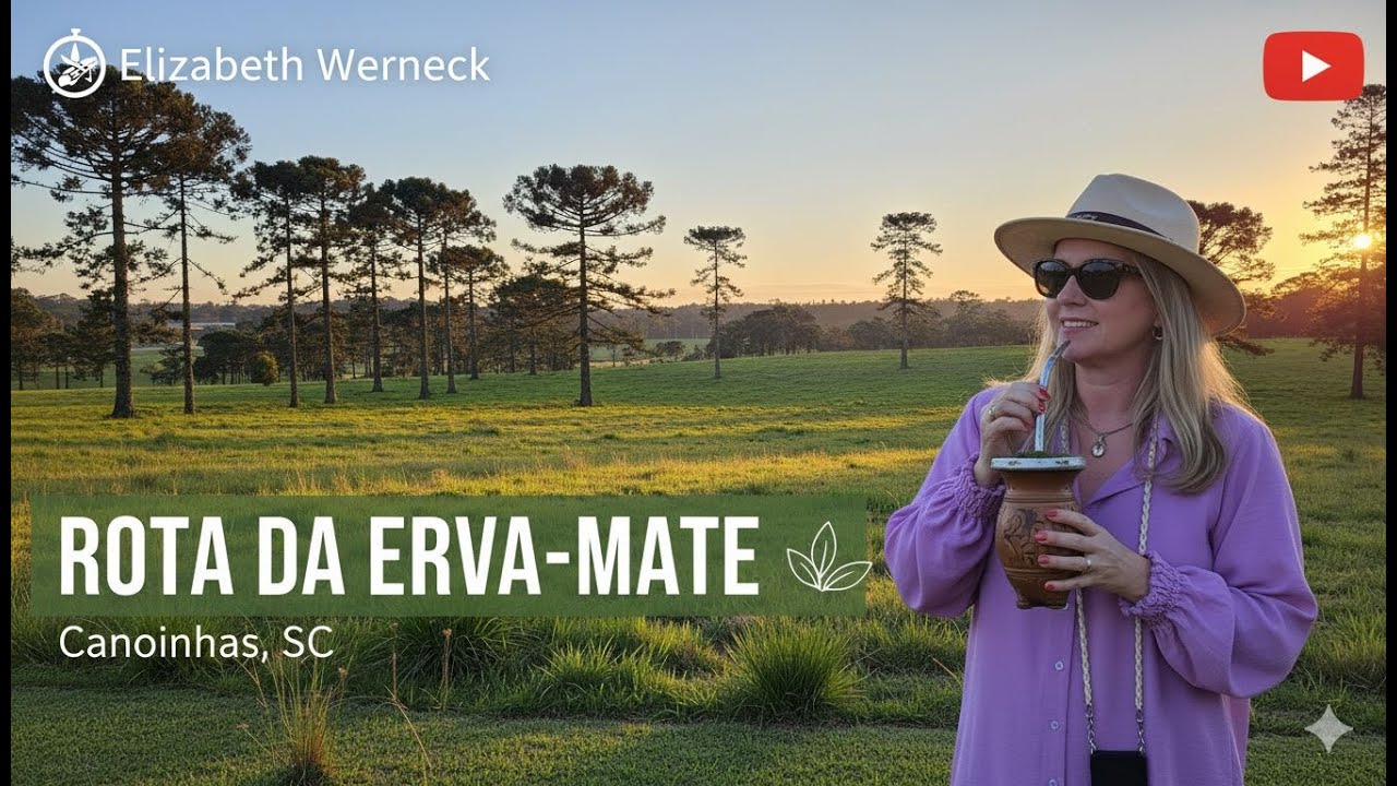 ROTA DA ERVA-MATE em CANOINHAS: O tesouro escondido de SANTA CATARINA! 🌿