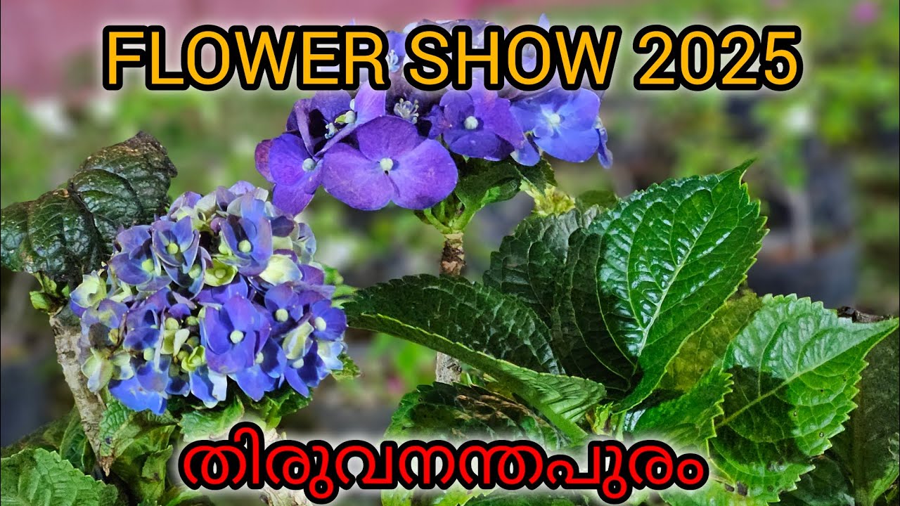 TRIVANDRUM FLOWER SHOW 2025 | വസന്തോത്സവം 2025 | Vasantholsavam 2025