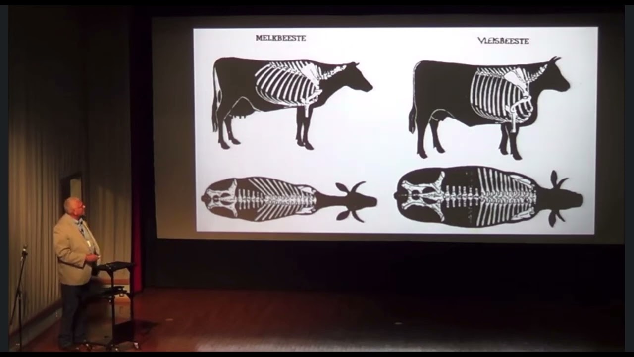 Bonsma Breeding - Gene Meiltler