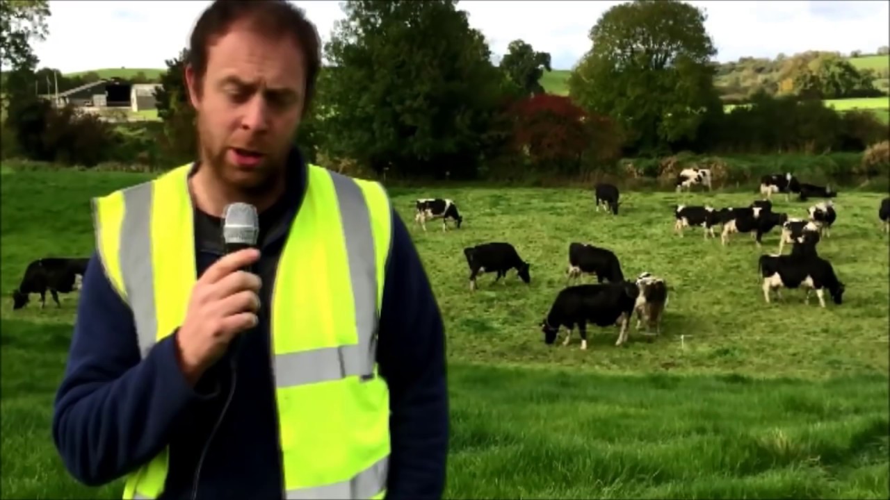Ballyhaise Dairy Update
