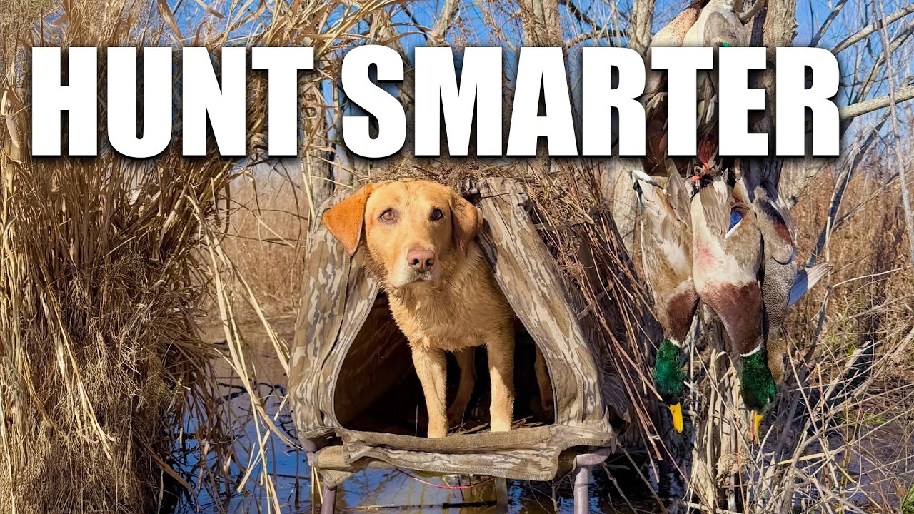 269. Mallard Hunting and the Dogs That Make It Possible