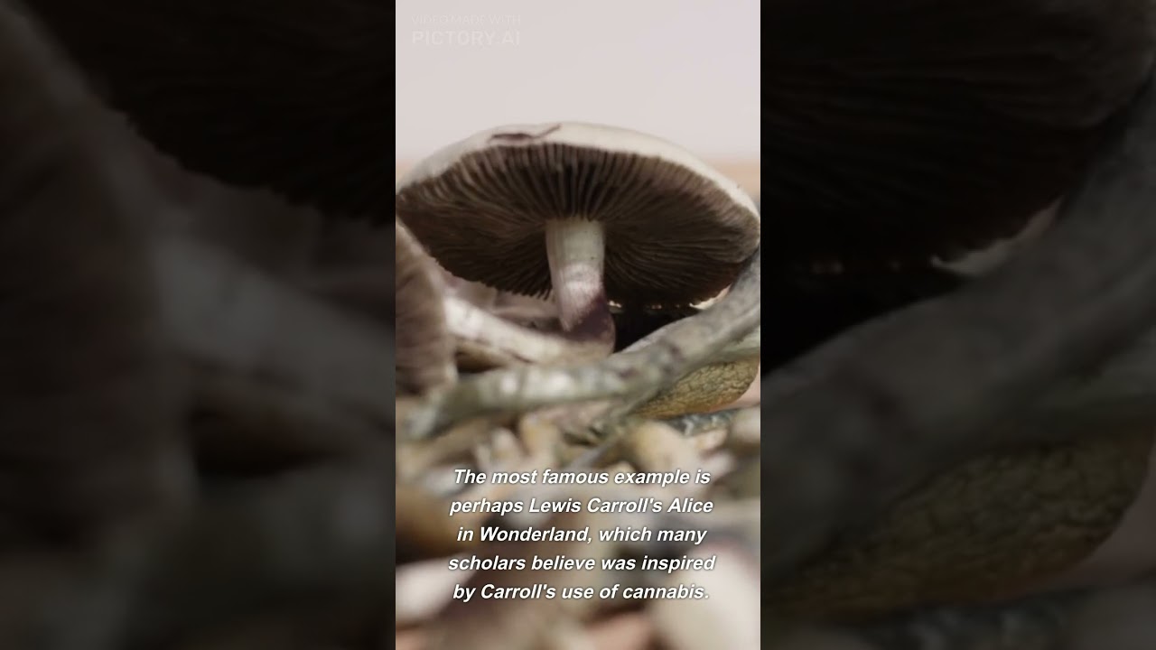 Cannabis combined with books. Is nothing new. #readingbooks #cannabisdaily #books