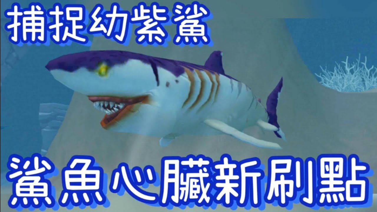 《醉意兒》烏托邦起源-鯊魚心臟新刷點&hearts;捕捉幼紫鯊&hearts;(｡&rsquo;▽&rsquo;｡)♡