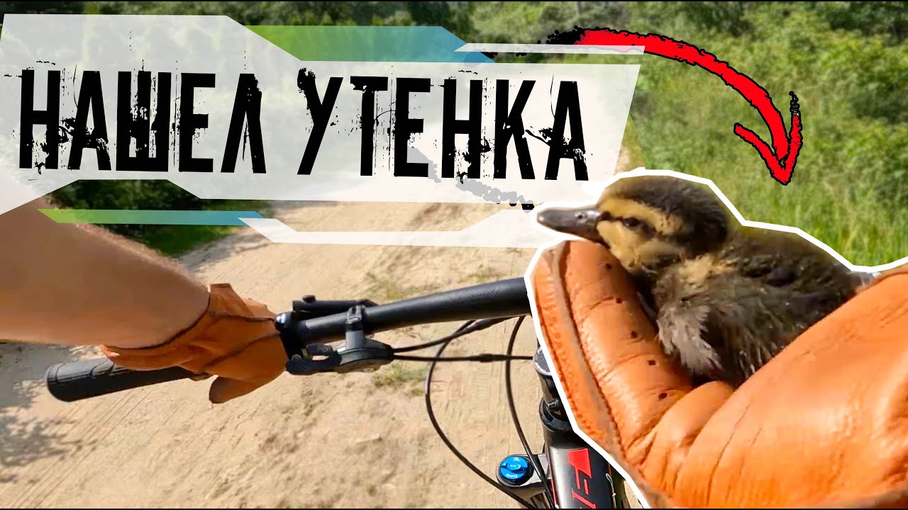 ПОКАТУТКА: Как получить максимум пользы от катания на велосипеде?