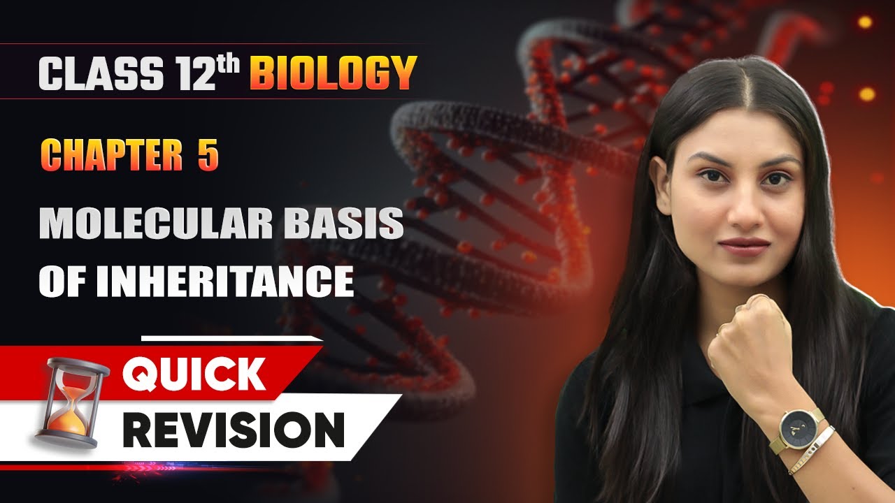 Molecular Basis of Inheritance - Quick Revision | Class 12 Biology Chapter 5 | CBSE 2025-26