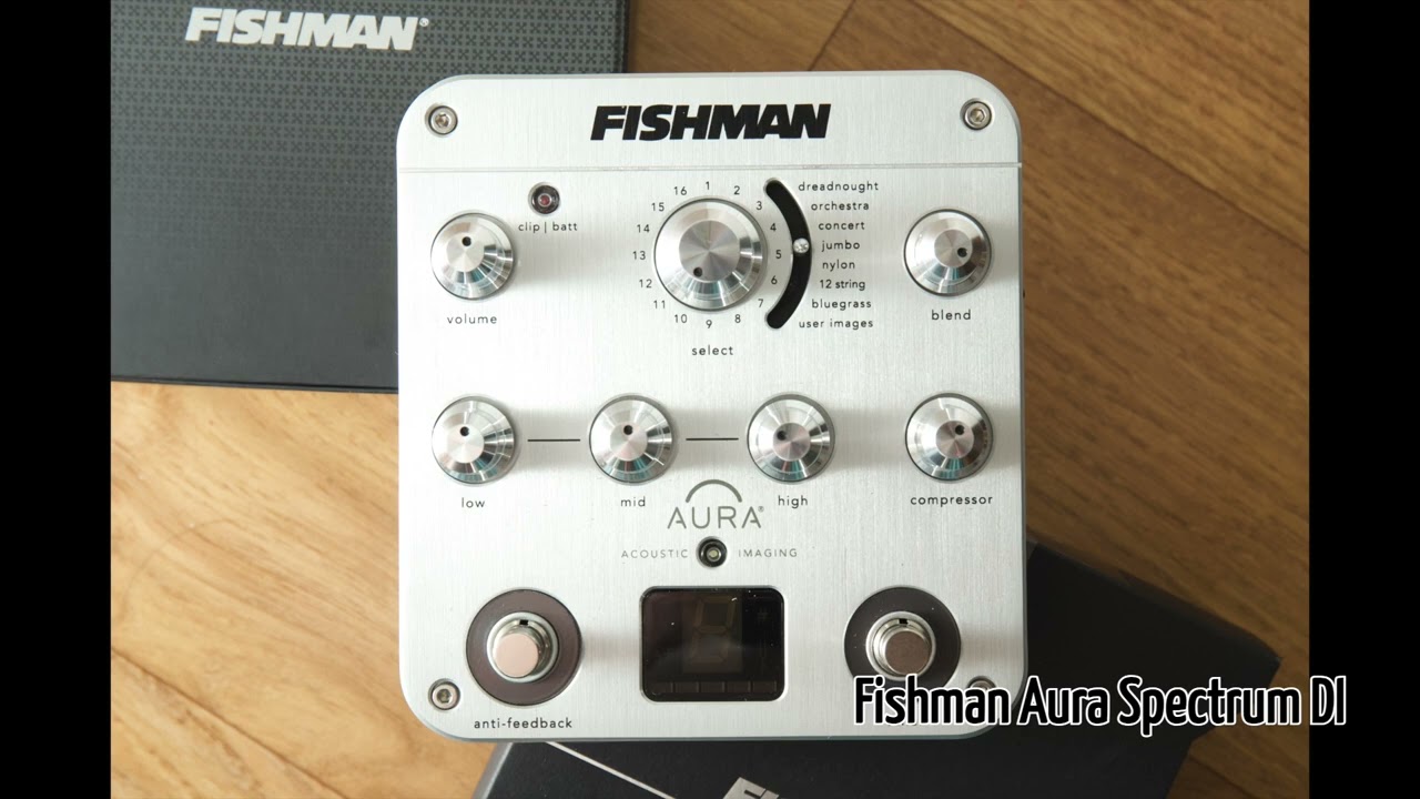 Taylor 524CE + Fishman Aura Spectrum DI + Yamaha Magicstomp