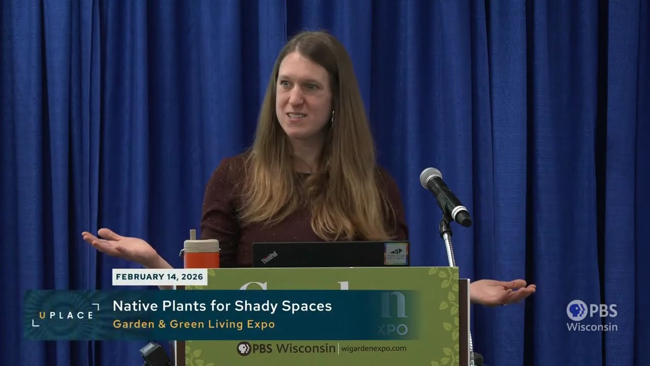 Native Plants for Shady Spaces | University Place
