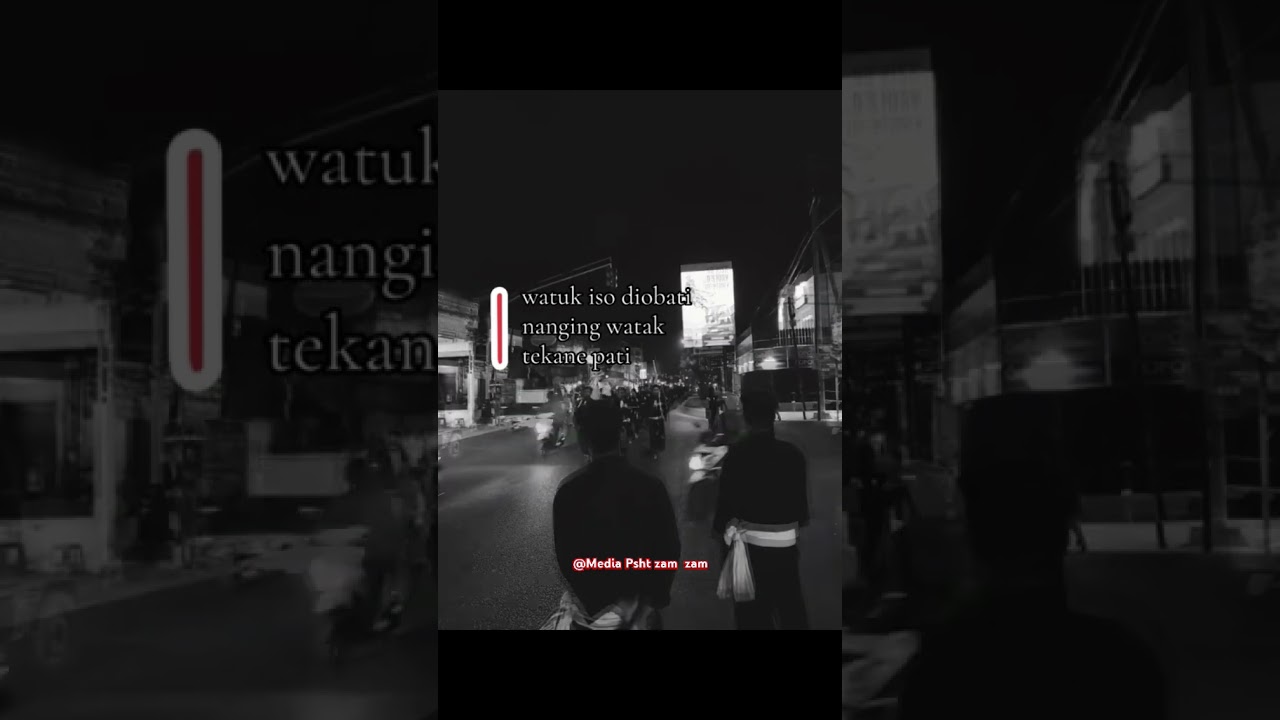 #pshtpusatmadiun #sejarahberdirinyapsht #ikspi #ikspikerasakti #pencaksilat #sejarah #silat#sadvibes