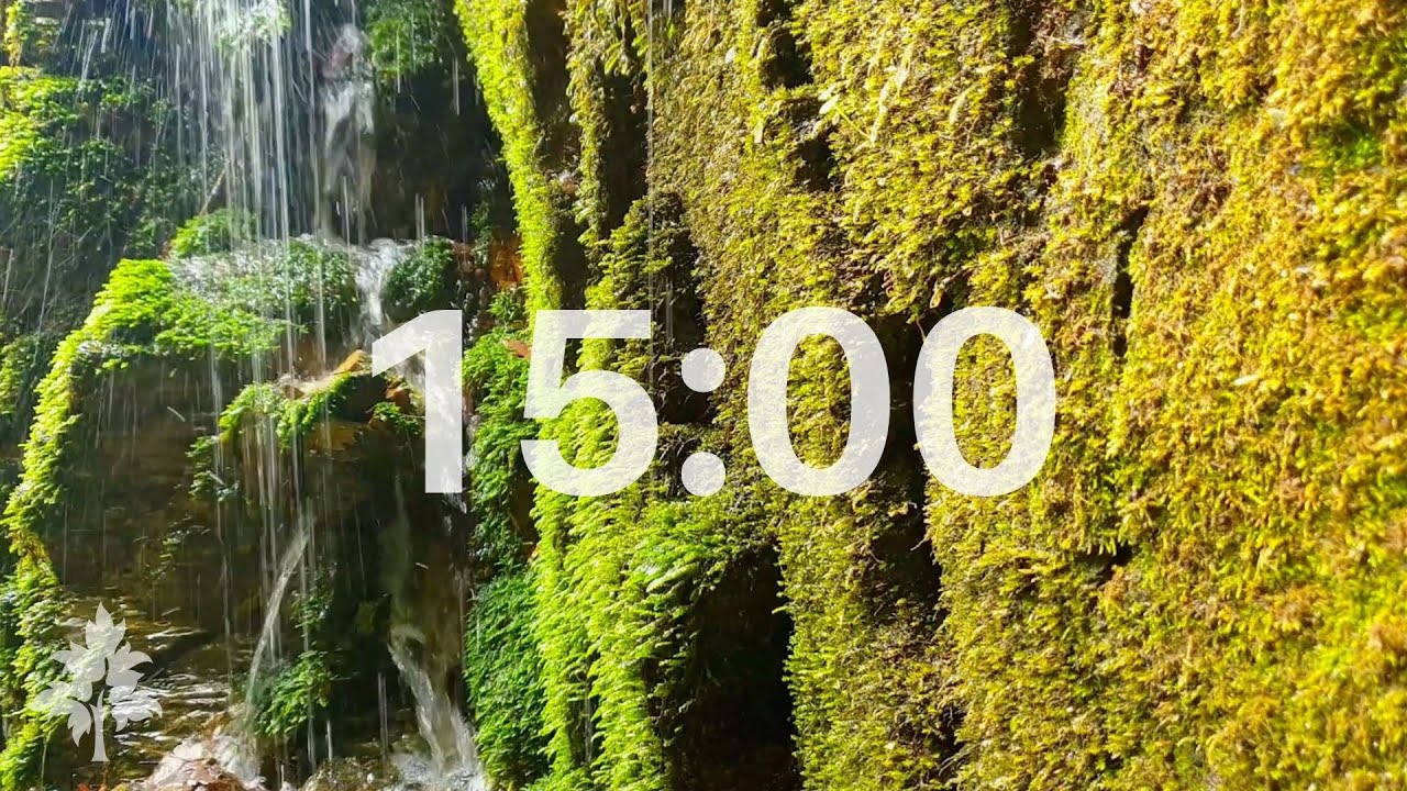 ⏳ 15 Minute Meditation Timer ② (no Music)