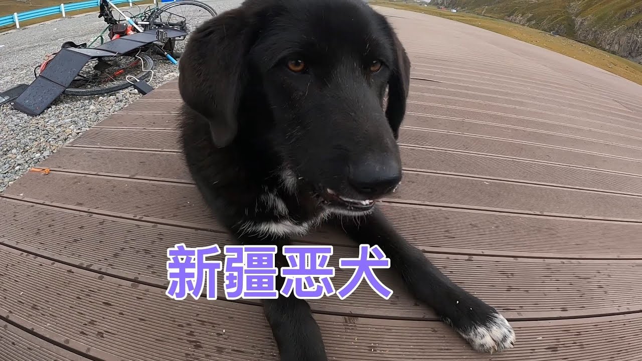 骑行新疆和，矛峙远行者.兄弟一起出发