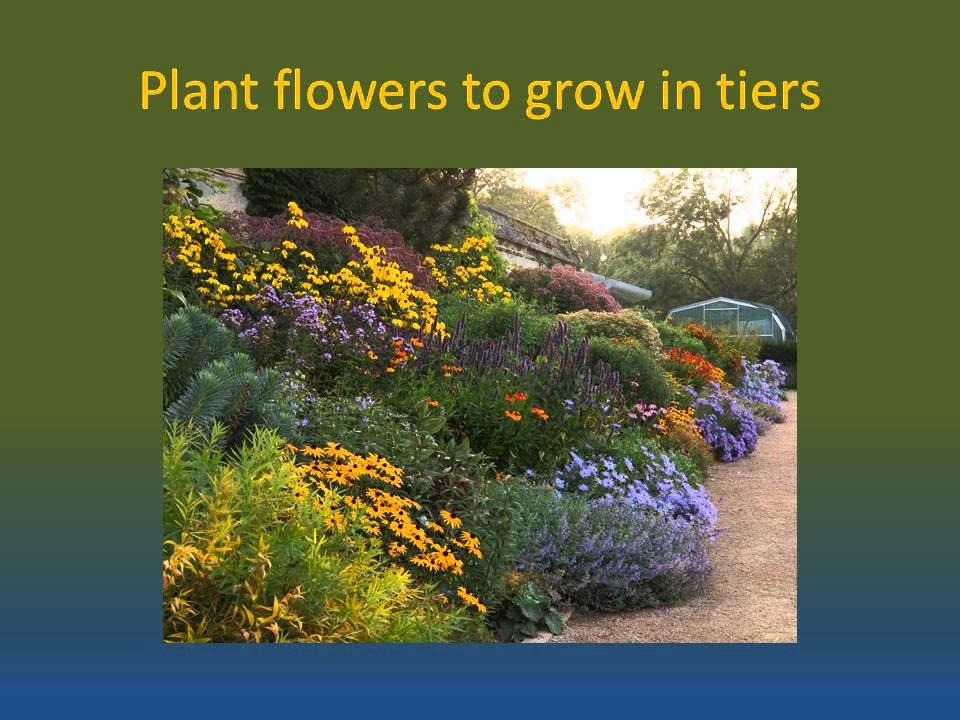 Creating a Bee-Friendly Garden