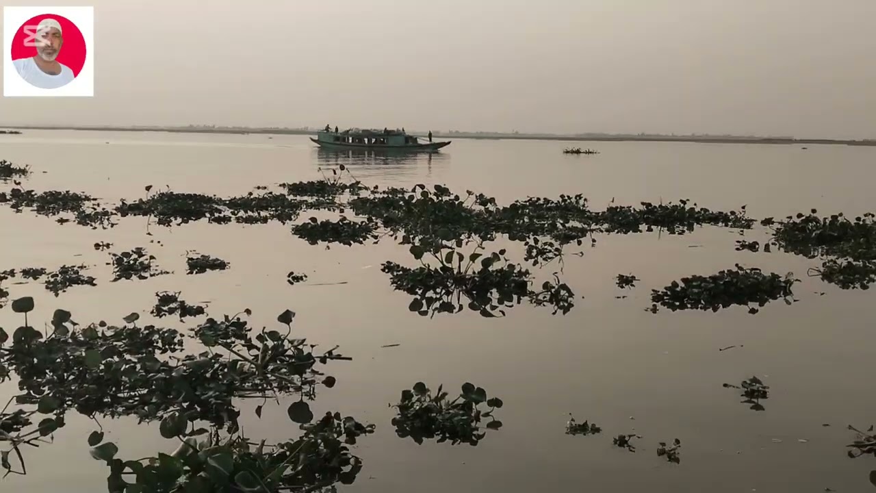 মেঘনা নদী পানিশ্বর