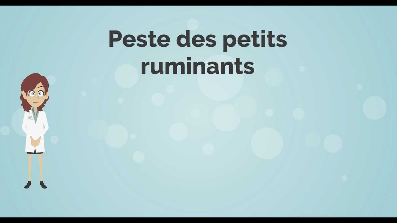 Peste des petits ruminants