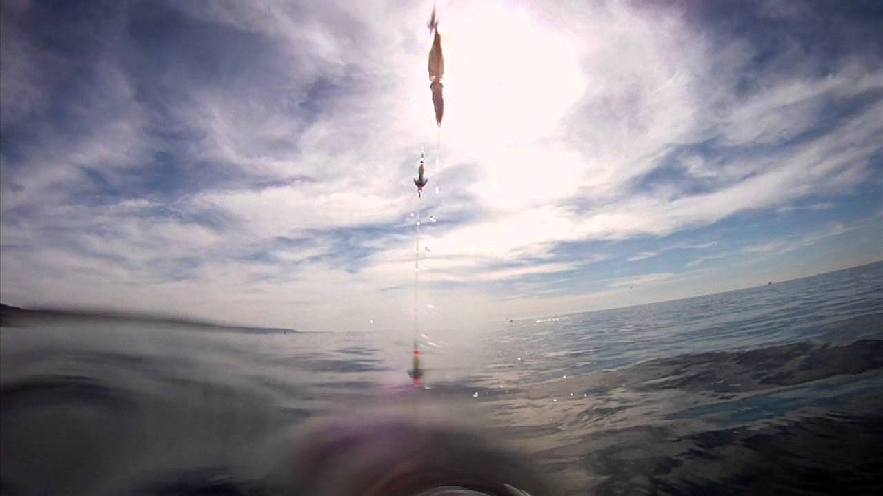 White Seabass and Yellowtail--California Skiff Fishing 2009-2010-