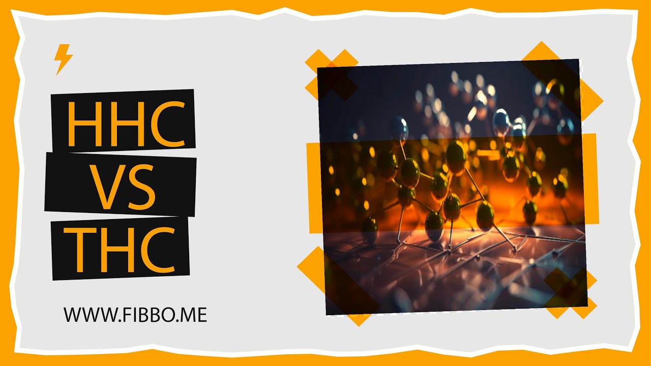 Descubriendo las Diferencias Entre HHC y THC