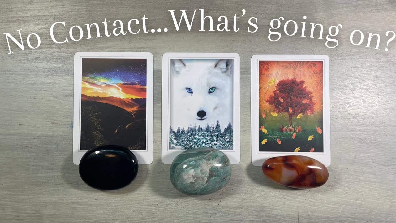 👀No Contact 🖤🧐  What’s Going On? 😲  Pick a Card  LOVE Tarot Reading