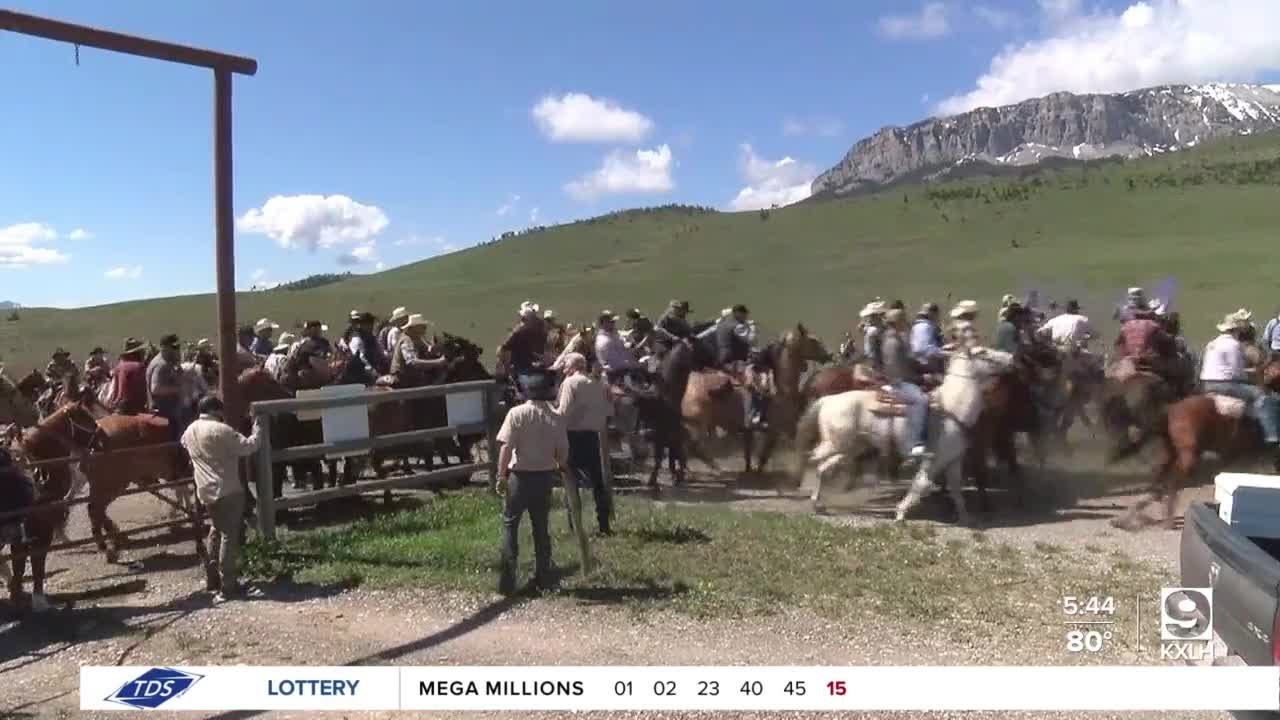 Shed Hunt draws hundreds of people