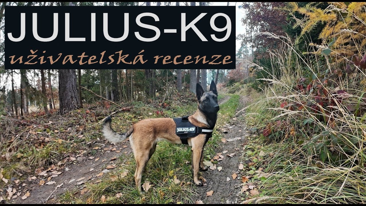 JULIUS - K9