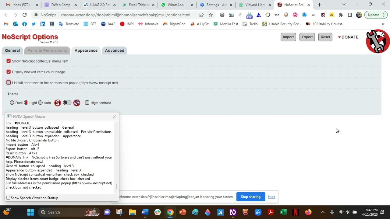 NoScript Add-On Chrome, Options with keyboard and screen reader NVDA
