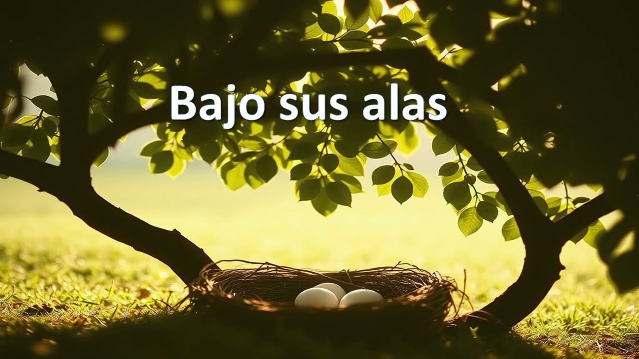 Bajo sus alas – Himno 411 (versión country/ bluegrass cristiano acústico)