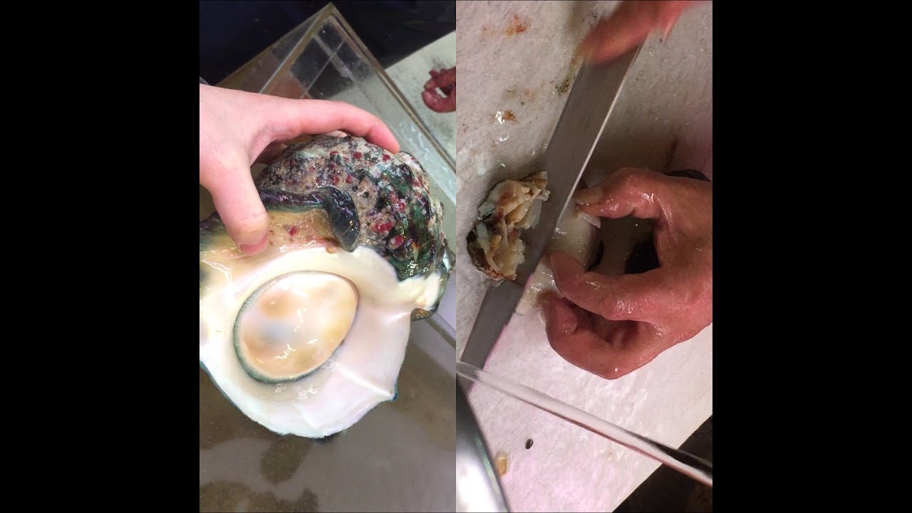 Japanese Street Food  ALIEN SEA SNAIL :SASHIMI