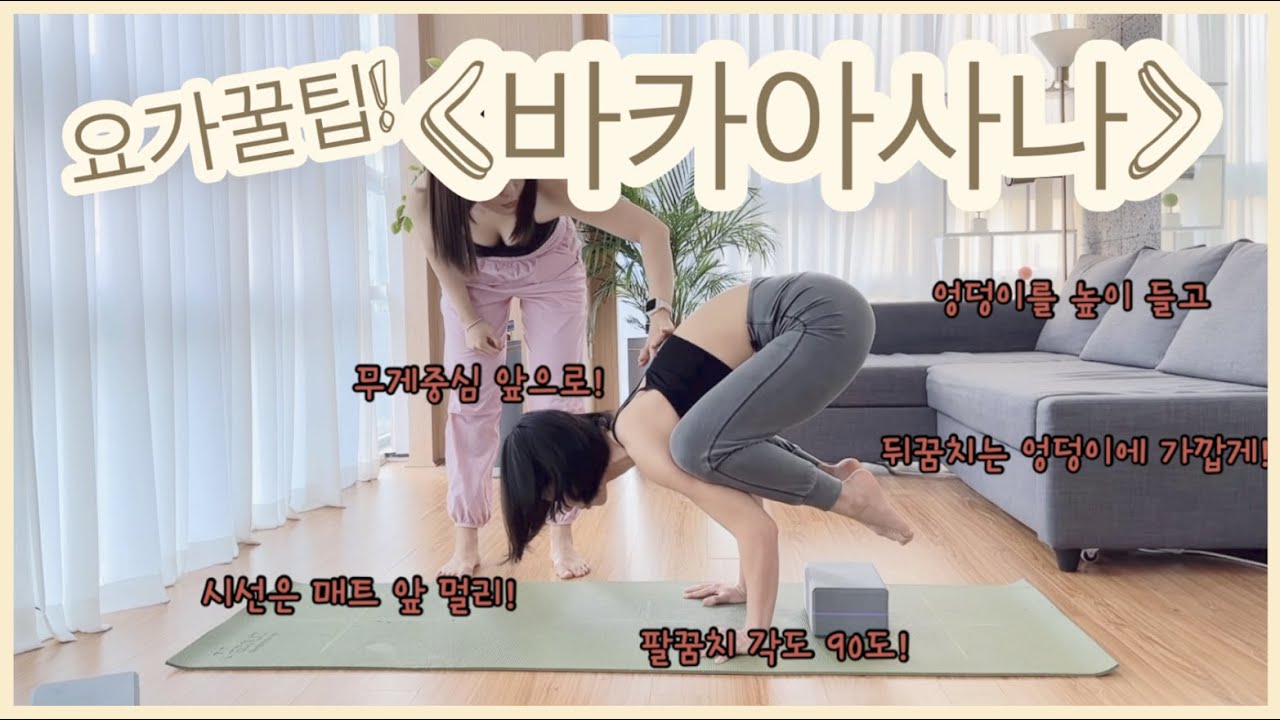 요가꿀팁🍯 / 바카사나 / 까마귀자세 / 다리를 바닥에서 떼는 방법 배워보기!