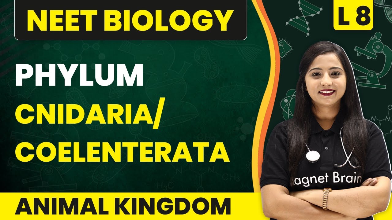 Phylum - Cnidaria/Coelenterata | Animal Kingdom - L8 | NEET Biology