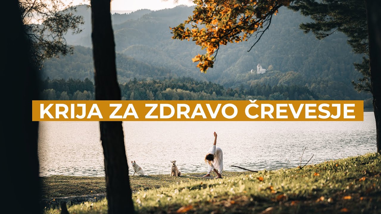 8-delni set za zdravo črevesje
