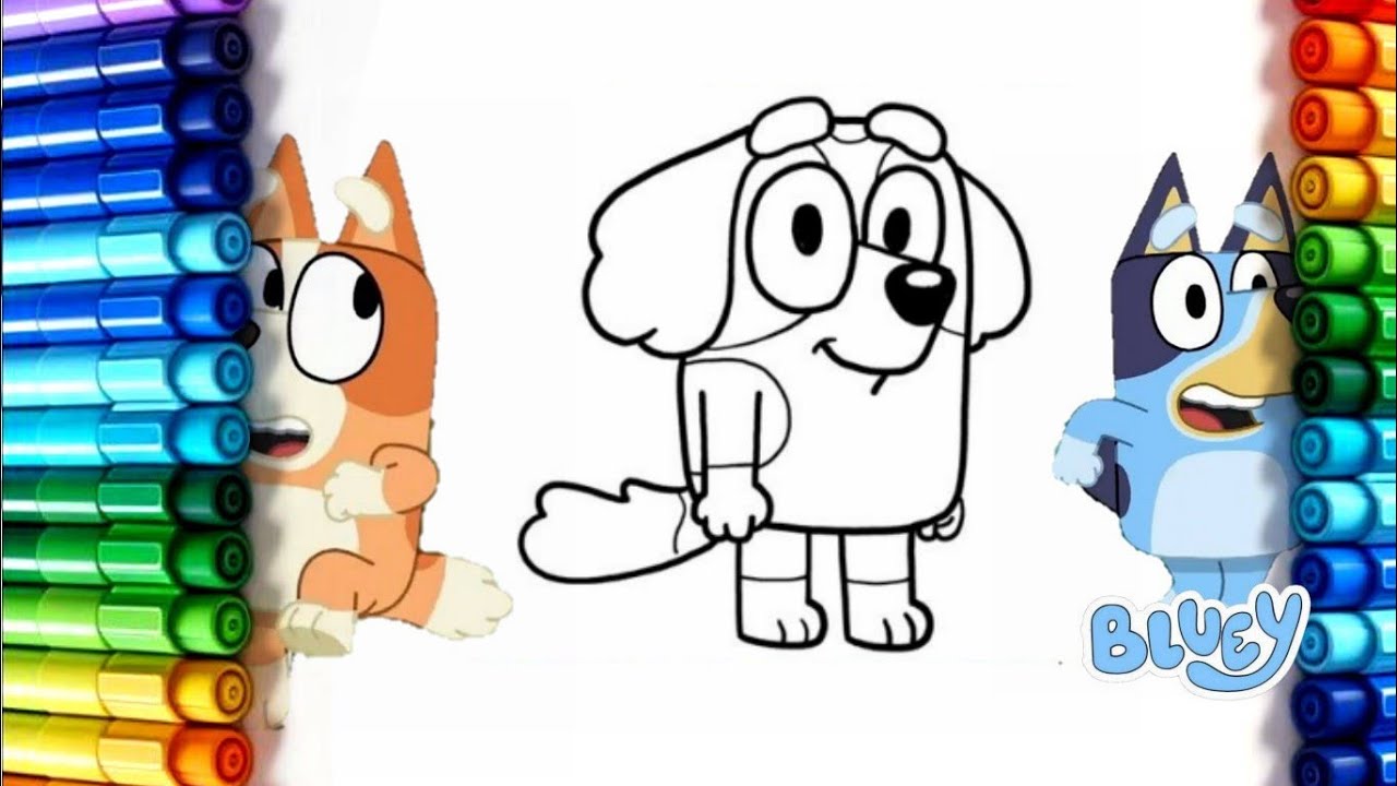 Bluey, Bingo and Friends Have a Picnic 🧺💙 | Bluey