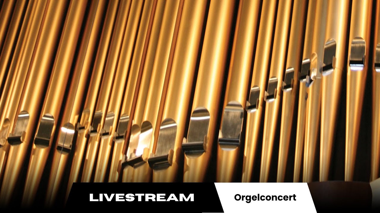 🔴Livestream Orgelconcert