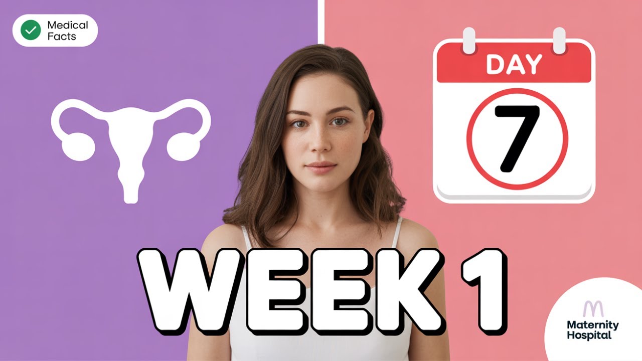 The First Week Of Pregnancy – What's Actually Happening Inside