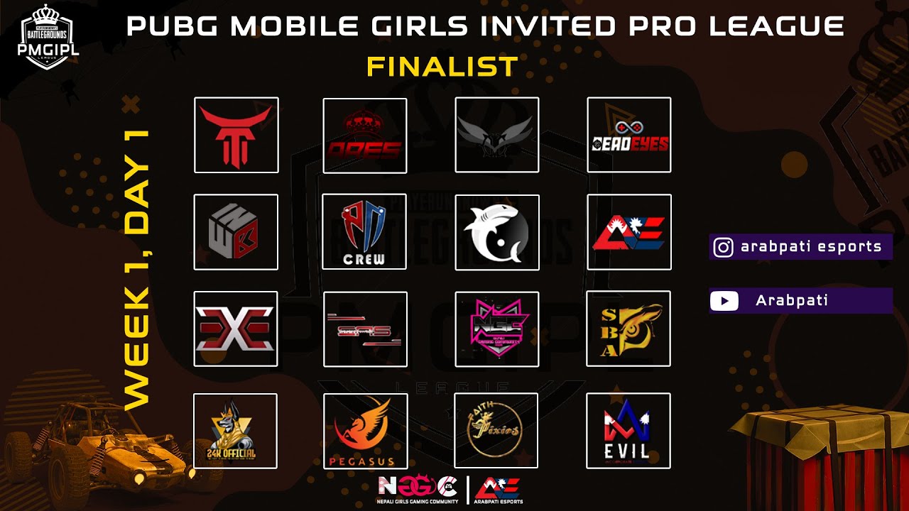 PUBG MOBILE GIRLS INVITED PRO LEAGUE || DAY 1 || FINALS || ARABPATI ESPORTS