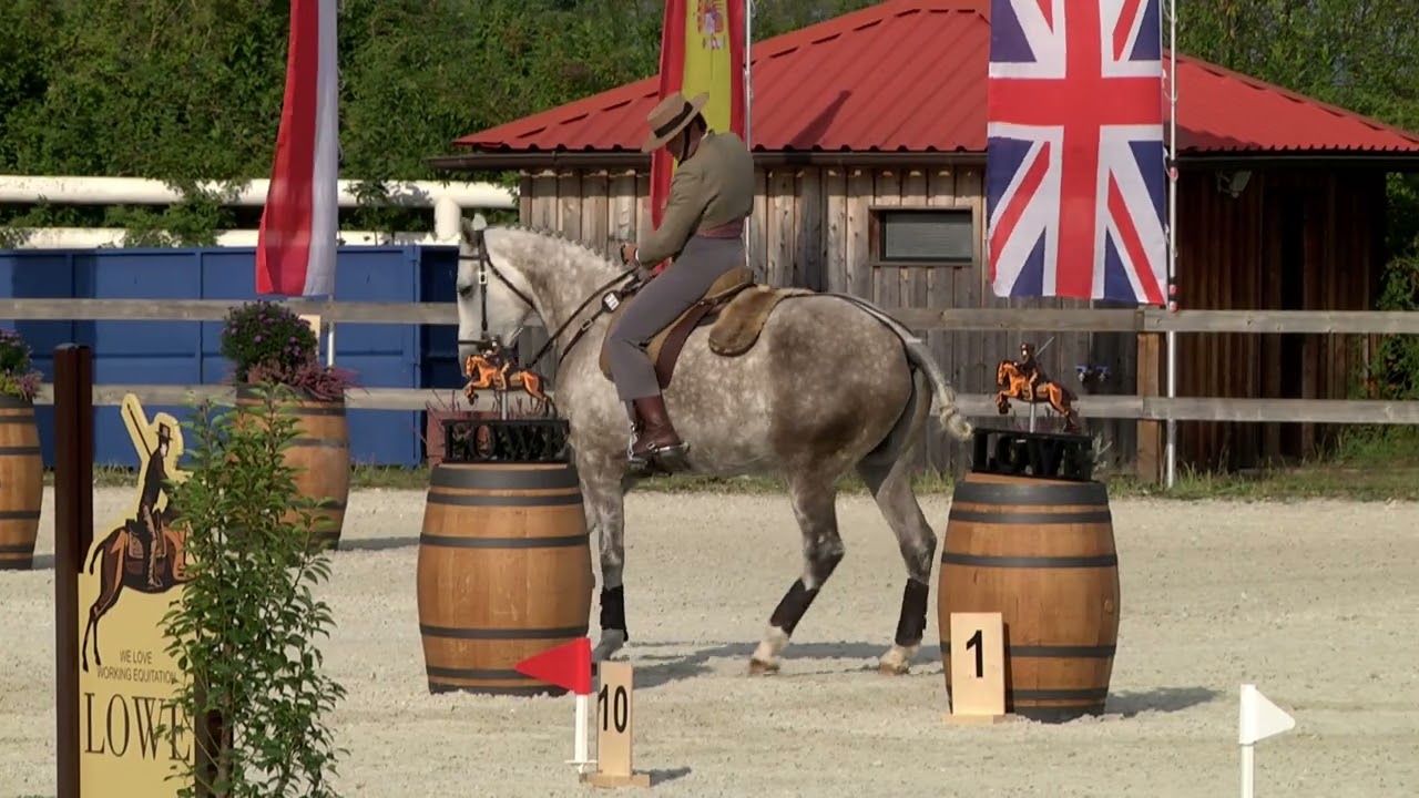 Maneability Test (4th part) – European Championship Working Equitation – Obořiště (CZE) 20. 9. 2024