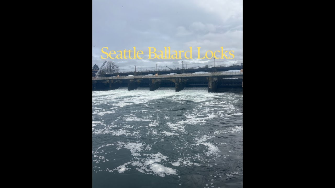 Ballard Locks Ambience | Midday Water & City Sounds