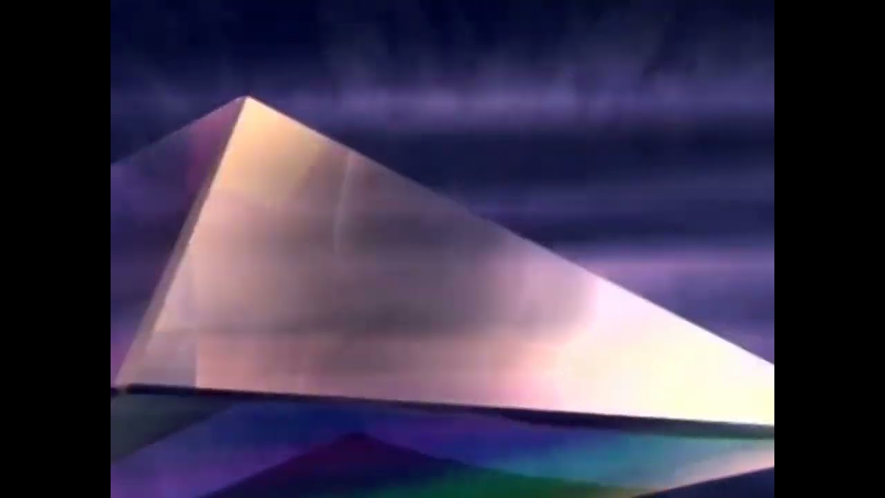 Opening to wonder pets VHS Alliance Save the dolphin